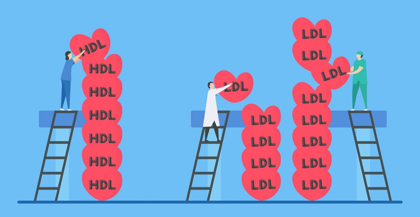 Vector image in which person is stacking HDL heart balls and 2 people are stacking LDL heart balls.