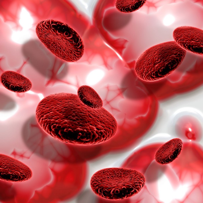 Vector image of red blood cells.